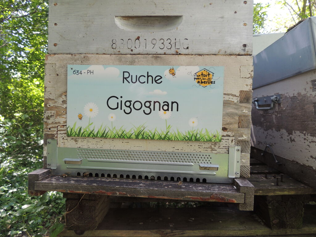La ruche Gigognan