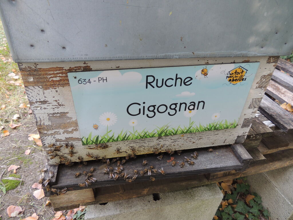 La ruche Gigognan