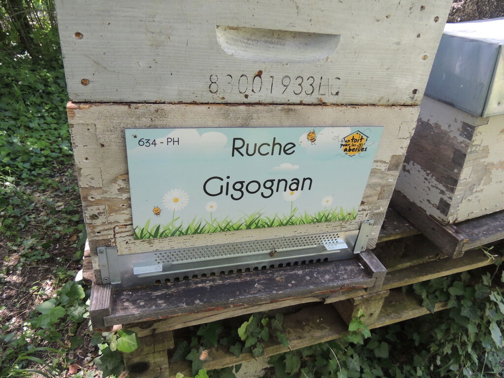 La ruche Gigognan