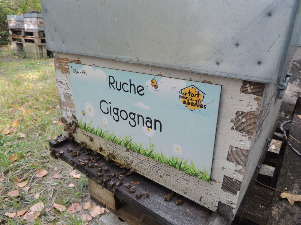 La ruche Gigognan