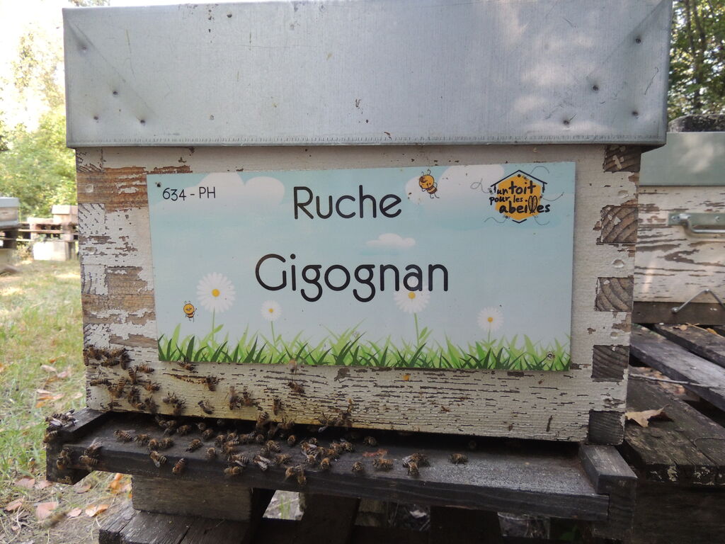 La ruche Gigognan