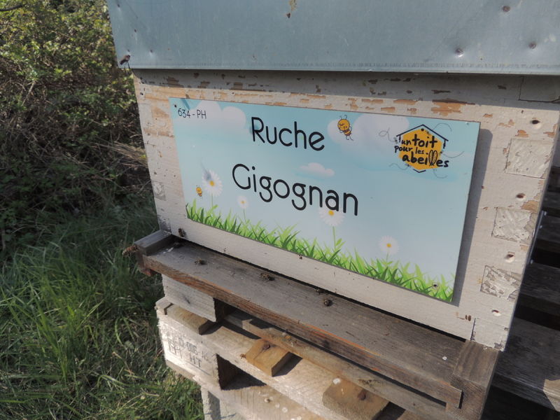 La ruche Gigognan