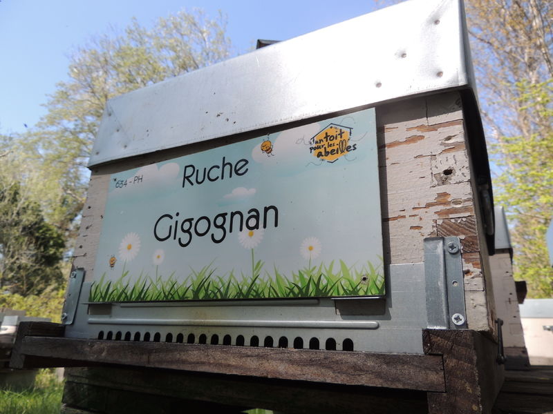 La ruche Gigognan
