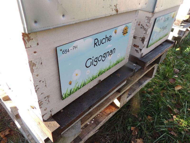 La ruche Gigognan