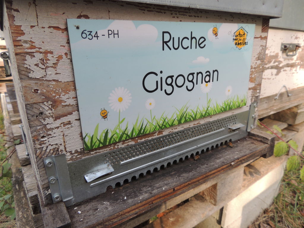 La ruche Gigognan