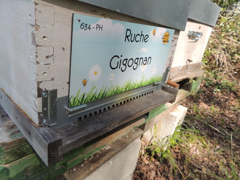 La ruche Gigognan