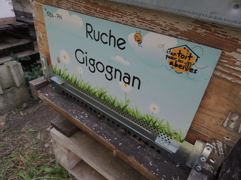 La ruche Gigognan
