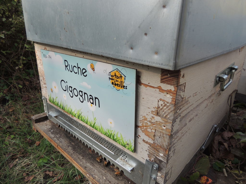La ruche Gigognan