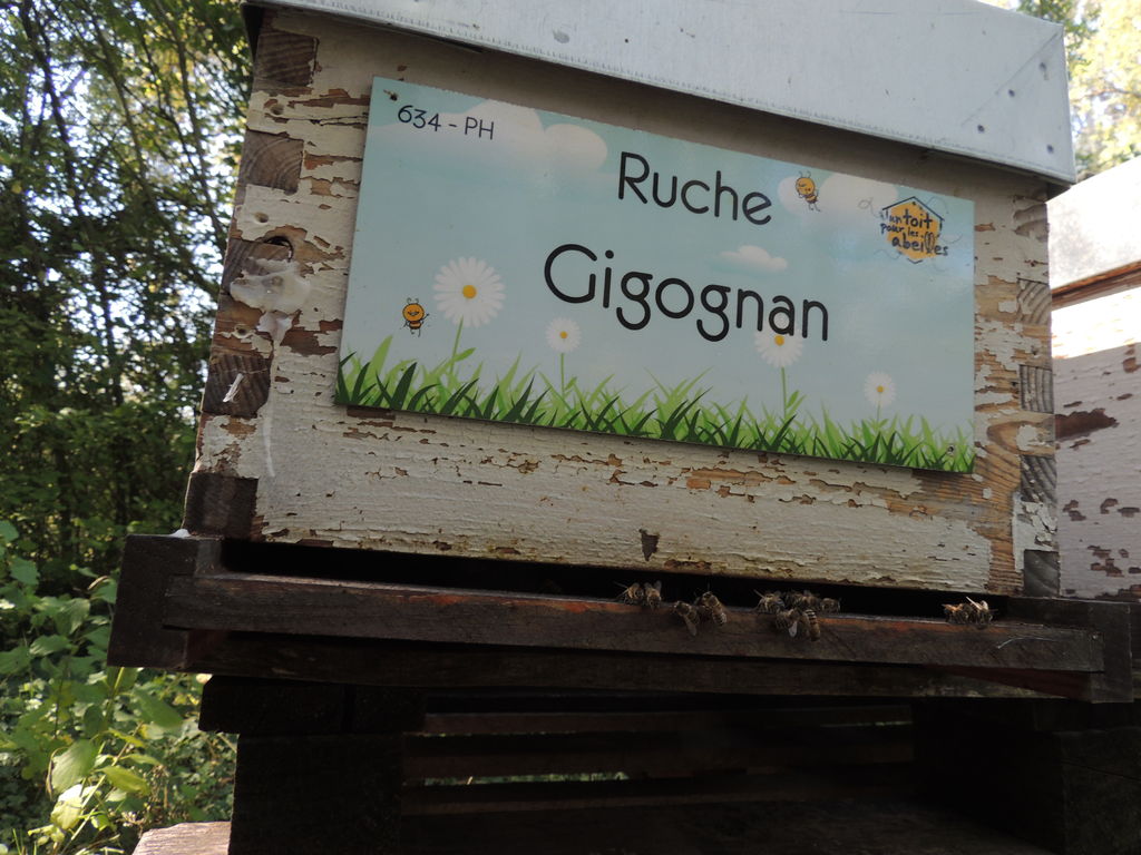 La ruche Gigognan