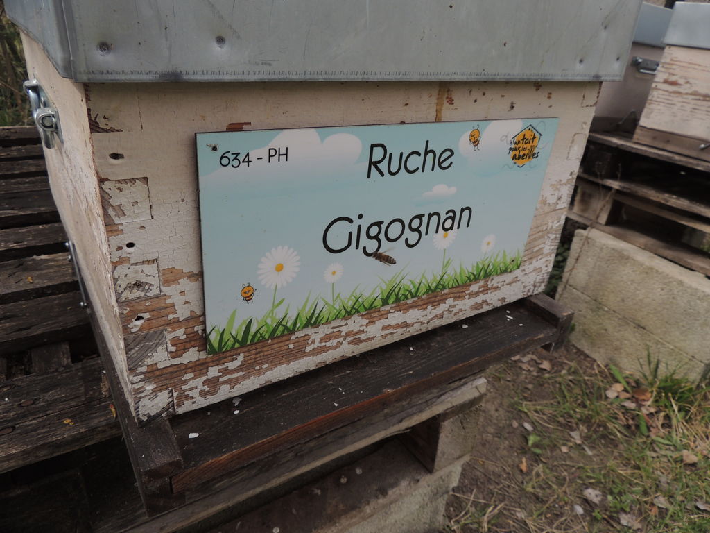 La ruche Gigognan
