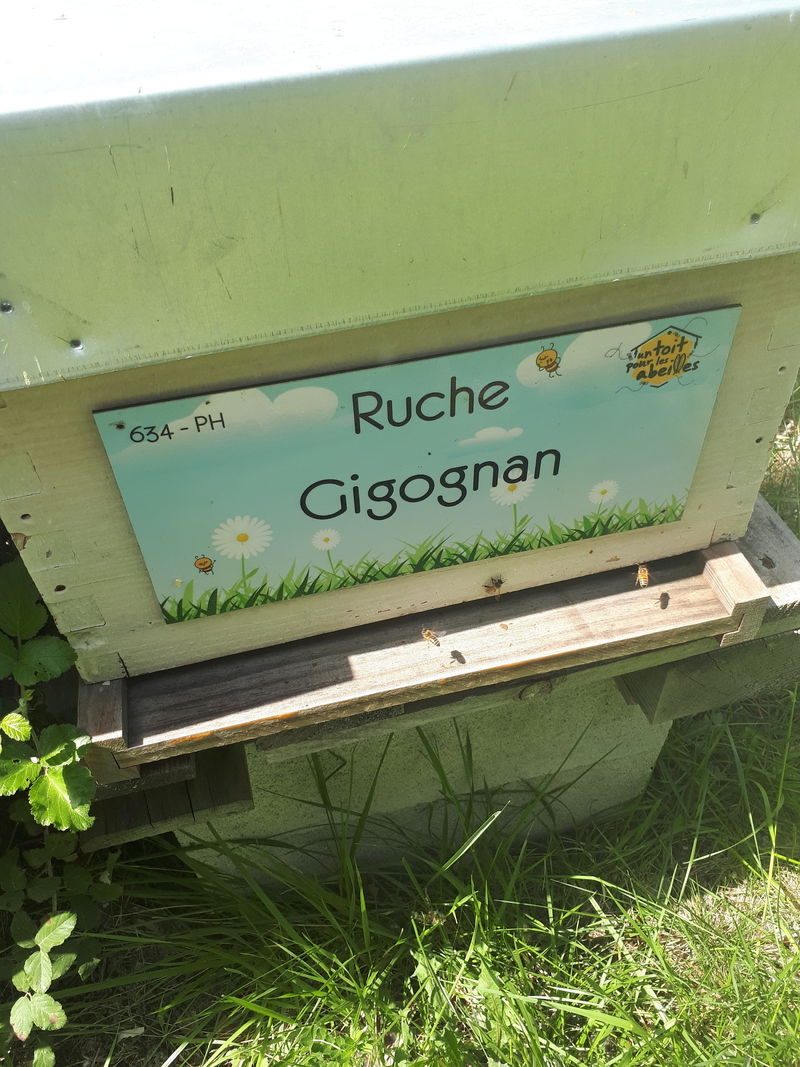 La ruche Gigognan
