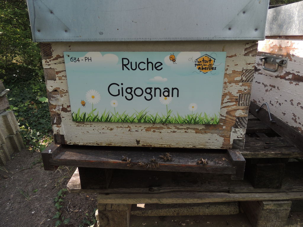 La ruche Gigognan