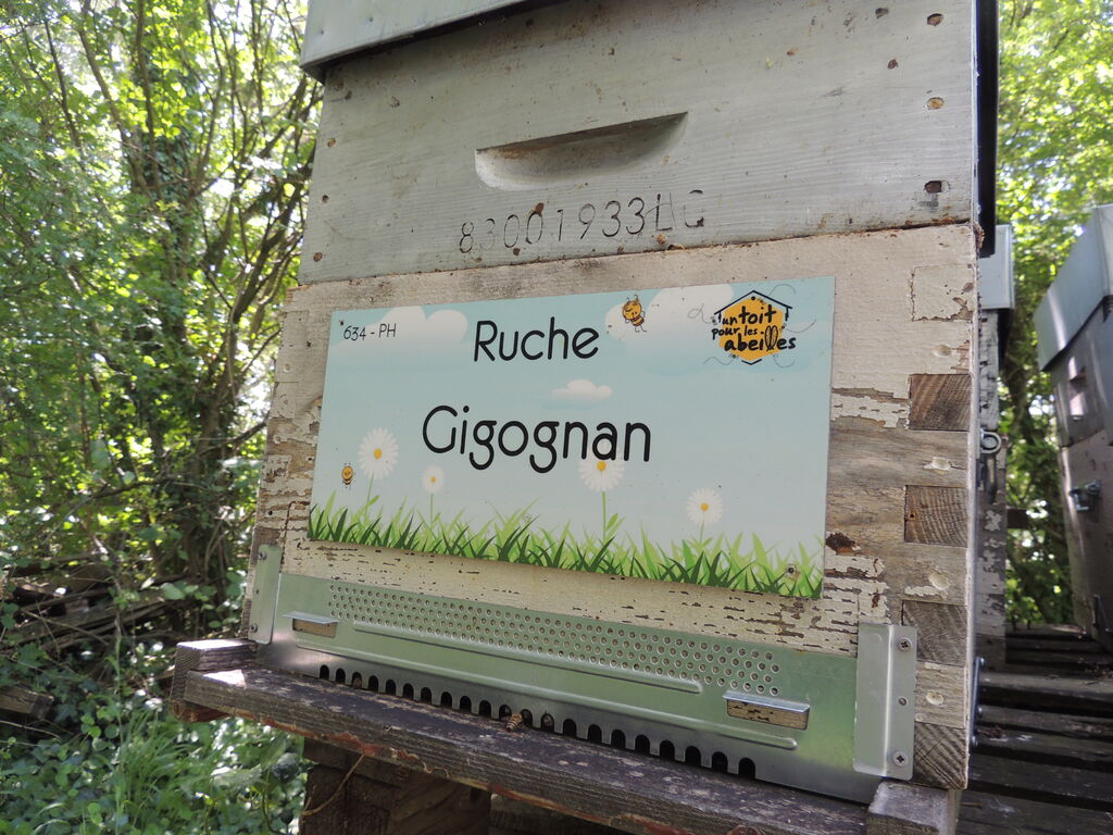 La ruche Gigognan