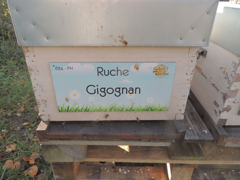 La ruche Gigognan