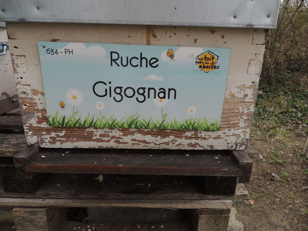 La ruche Gigognan