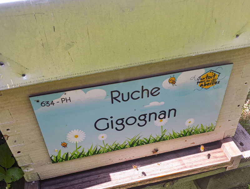 La ruche Gigognan
