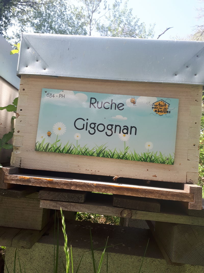 La ruche Gigognan