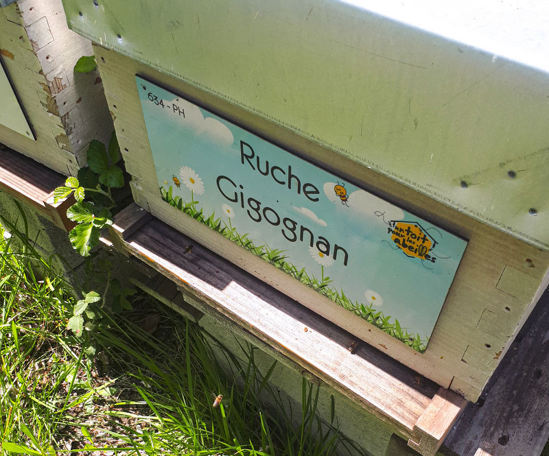 La ruche Gigognan