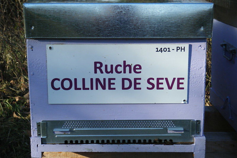 La ruche