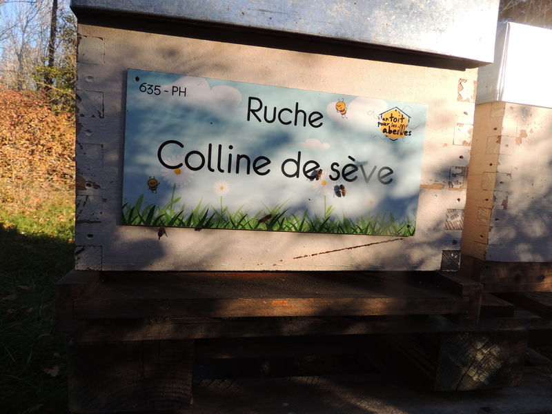 La ruche