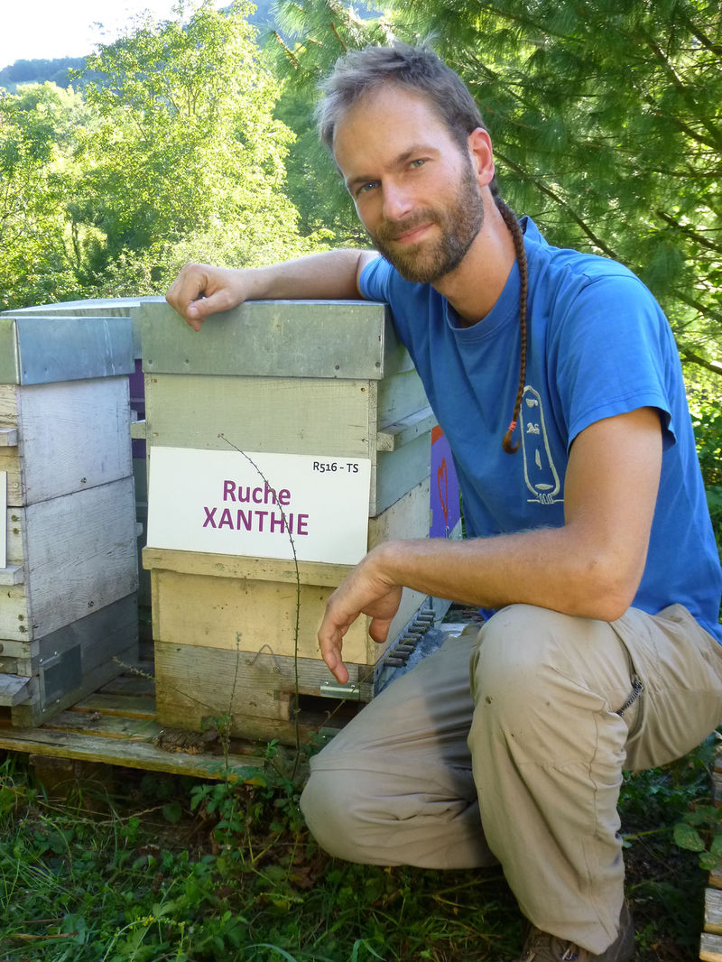La ruche Xanthie
