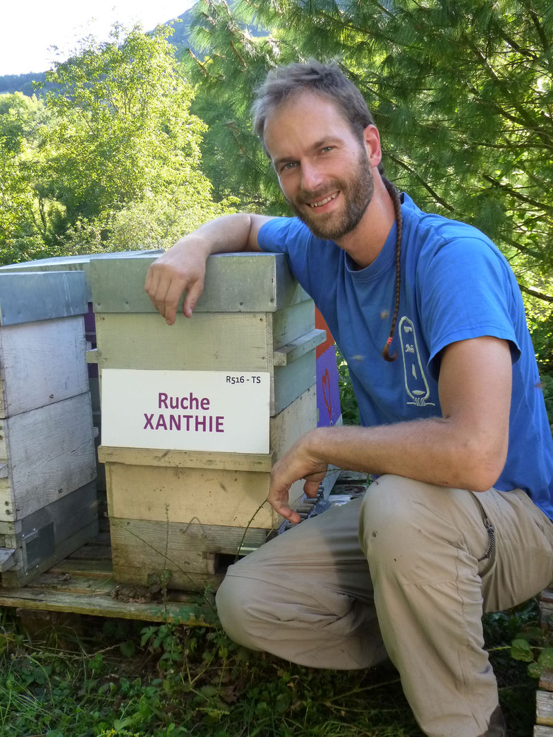 La ruche Xanthie