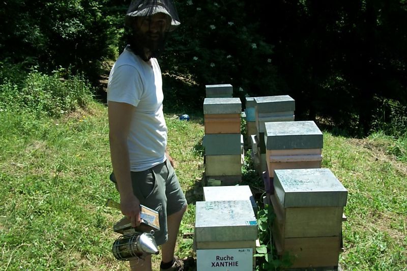La ruche Xanthie