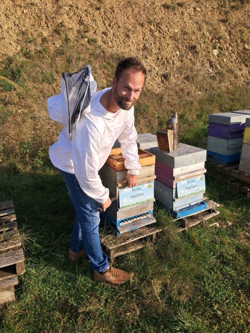 La ruche Xanthie