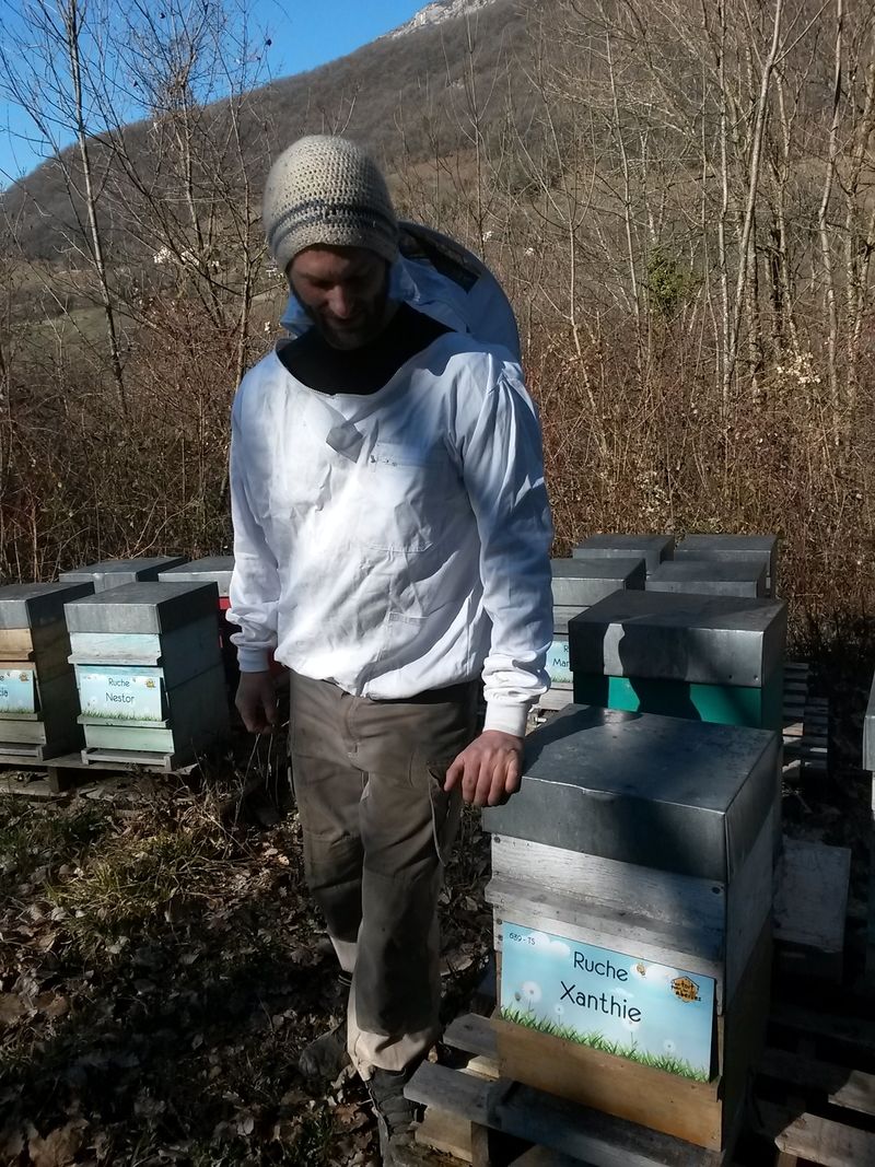 La ruche Xanthie