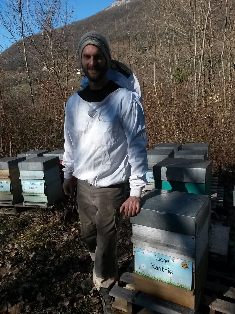 La ruche Xanthie