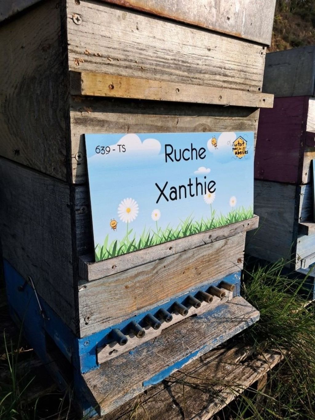 La ruche Xanthie