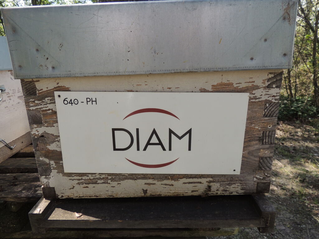 La ruche DIAM BOUCHAGE SAS