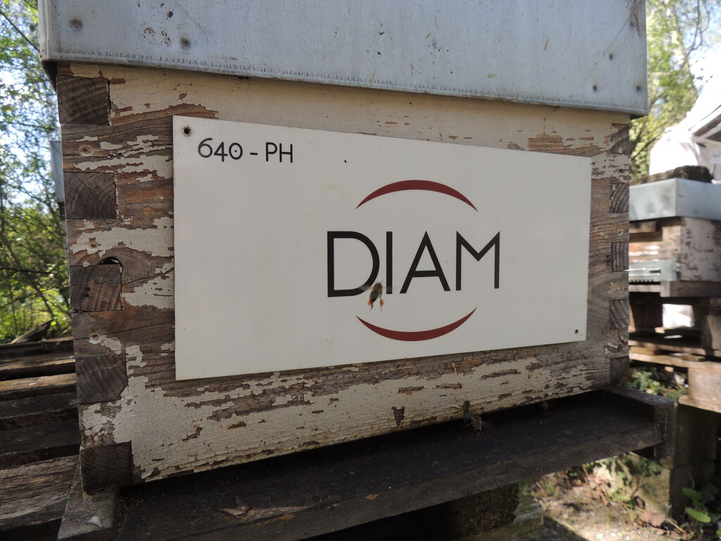 La ruche DIAM BOUCHAGE SAS