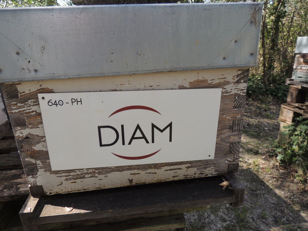 La ruche DIAM BOUCHAGE SAS