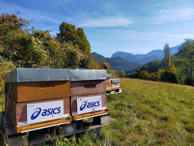 La ruche ASICS France