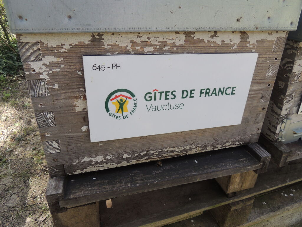 La ruche LVP RESERVATIONS