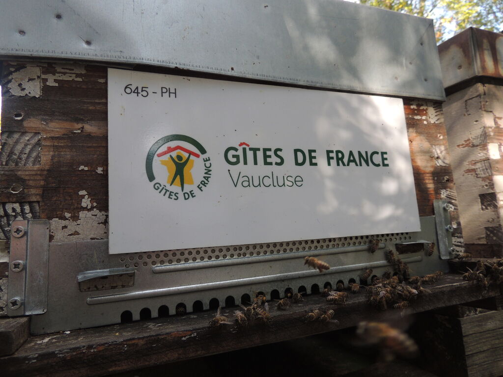 La ruche LVP RESERVATIONS