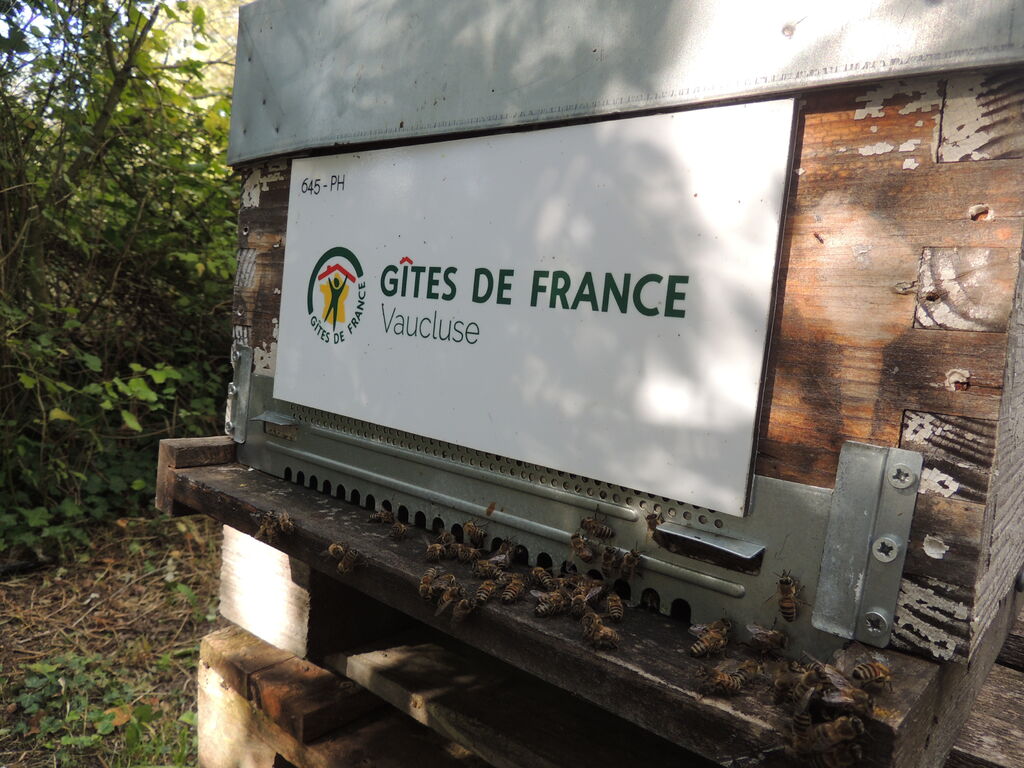 La ruche LVP RESERVATIONS