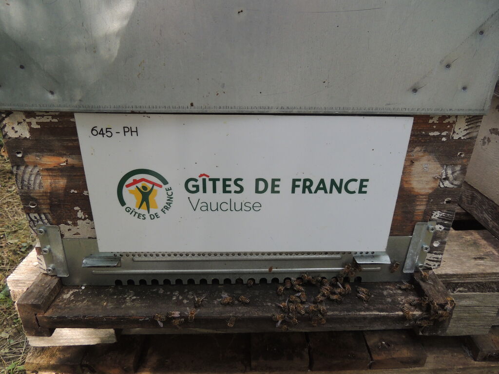 La ruche LVP RESERVATIONS