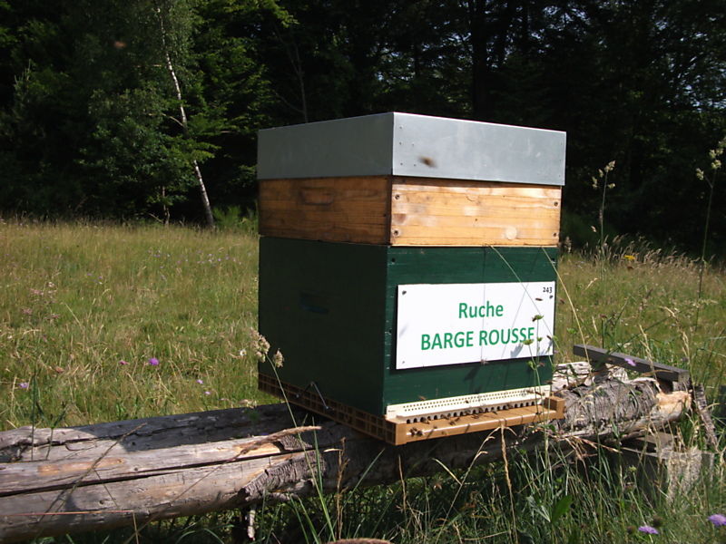 La ruche Barge rousse