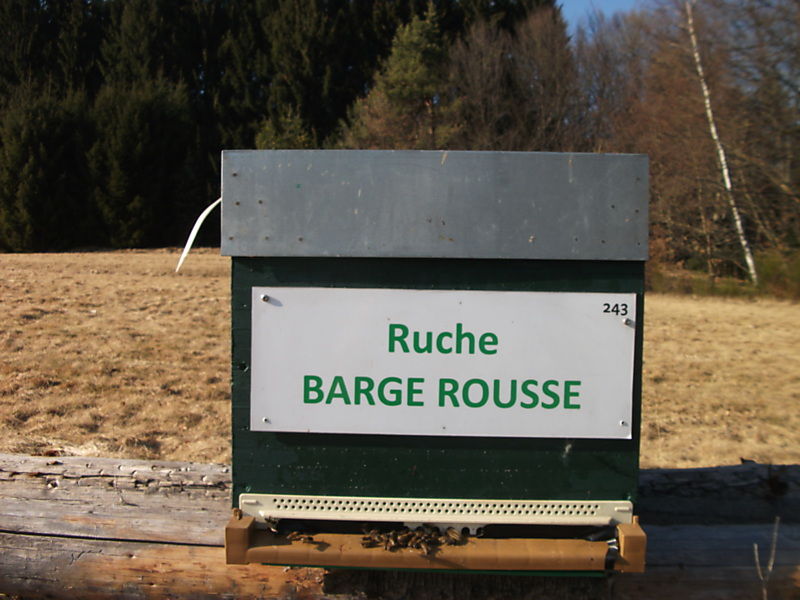 La ruche Barge rousse