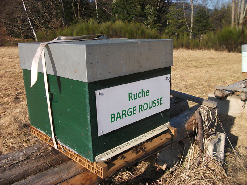 La ruche Barge rousse