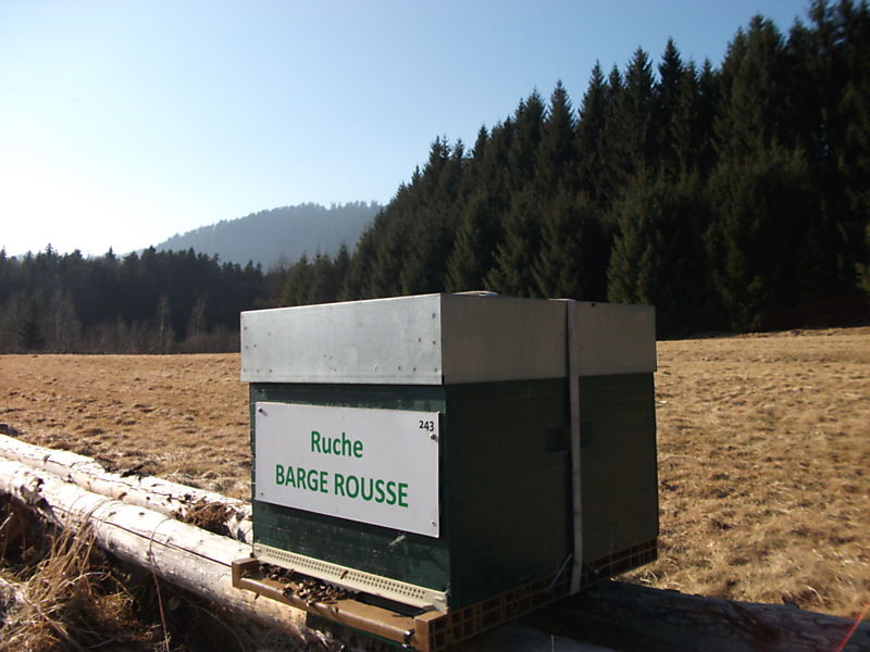 La ruche Barge rousse