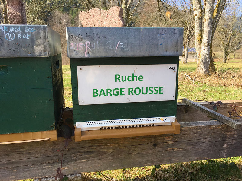 La ruche Barge rousse