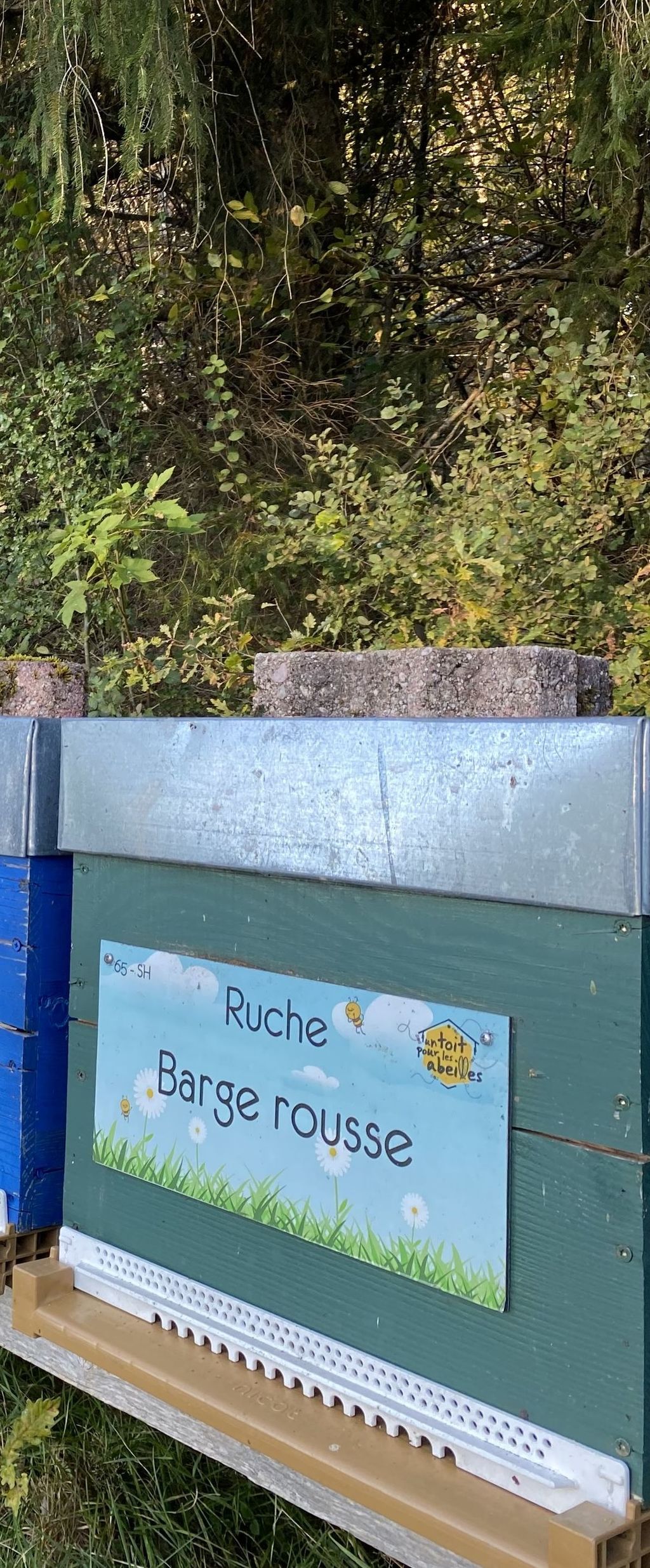 La ruche Barge rousse