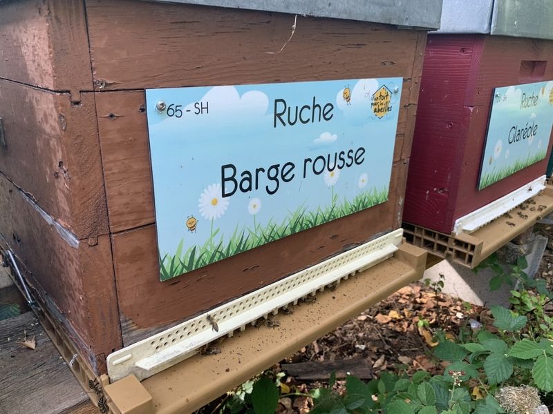 La ruche Barge rousse