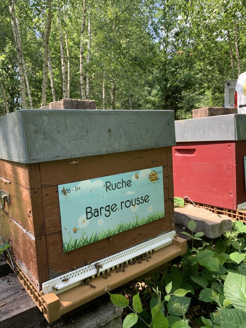 La ruche Barge rousse