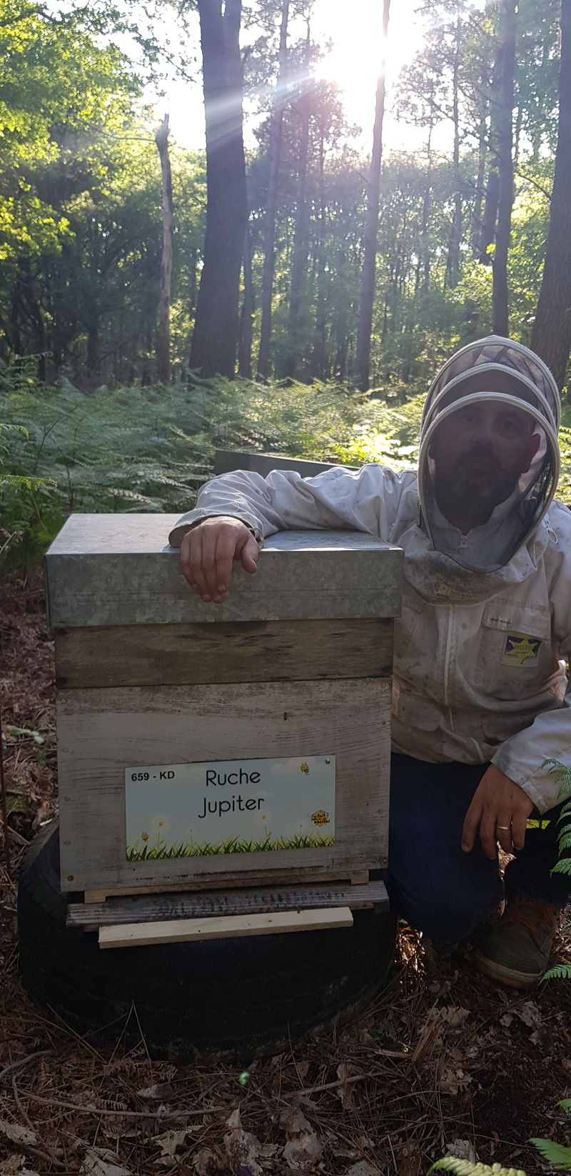 La ruche Jupiter