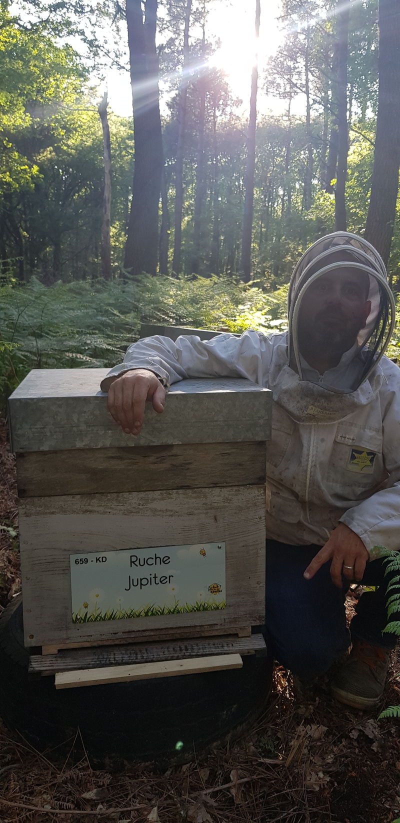 La ruche Jupiter