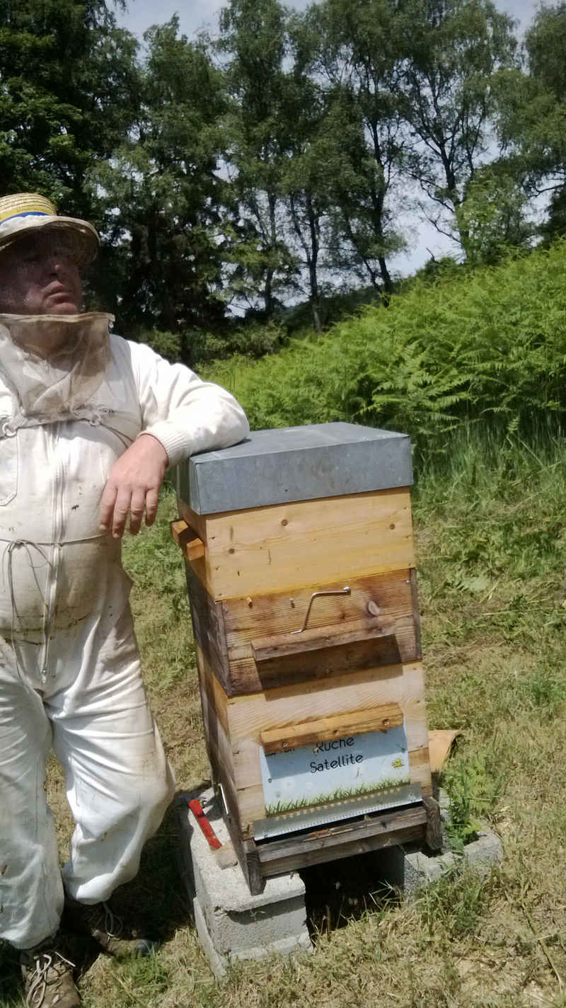 La ruche Satellite